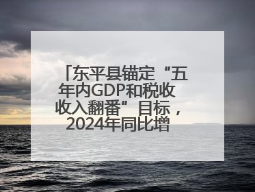 东平县锚定“五年内GDP和税收收入翻番”目标，2024年同比增长5.8%