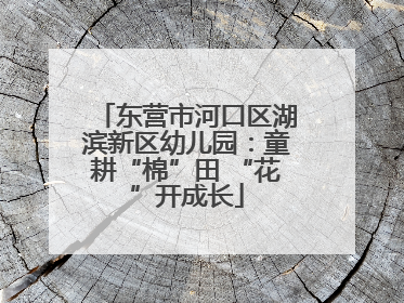 东营市河口区湖滨新区幼儿园：童耕“棉”田 “花”开成长