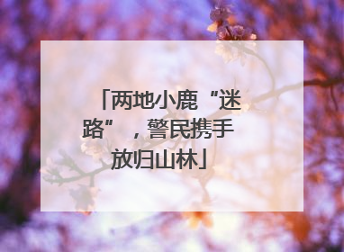 两地小鹿“迷路”，警民携手放归山林