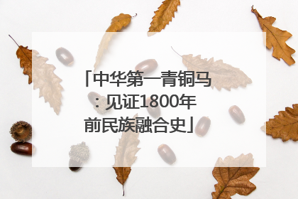 中华第一青铜马：见证1800年前民族融合史