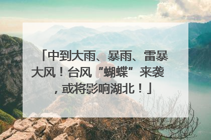 中到大雨、暴雨、雷暴大风！台风“蝴蝶”来袭，或将影响湖北！