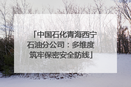 中国石化青海西宁石油分公司：多维度筑牢保密安全防线