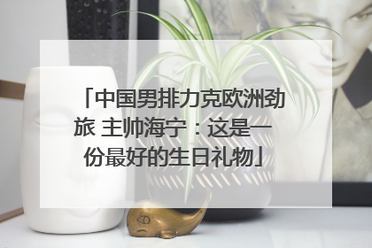 中国男排力克欧洲劲旅 主帅海宁：这是一份最好的生日礼物