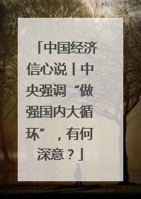 中国经济信心说丨中央强调“做强国内大循环”，有何深意？