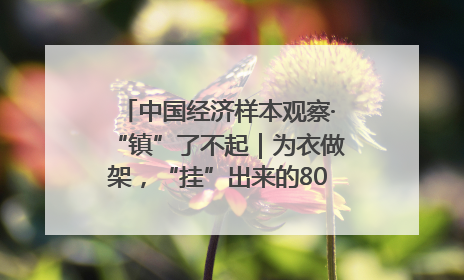 中国经济样本观察·“镇”了不起｜为衣做架，“挂”出来的80亿元“衣架产业”