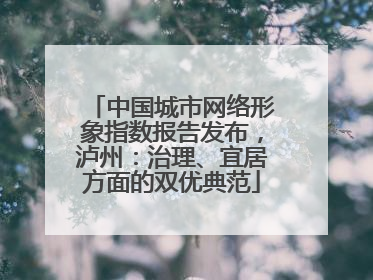 中国城市网络形象指数报告发布，泸州：治理、宜居方面的双优典范