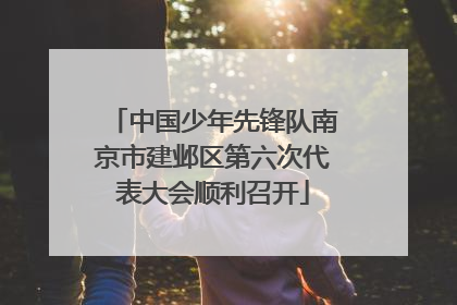 中国少年先锋队南京市建邺区第六次代表大会顺利召开