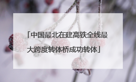 中国最北在建高铁全线最大跨度转体桥成功转体