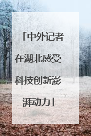 中外记者在湖北感受科技创新澎湃动力