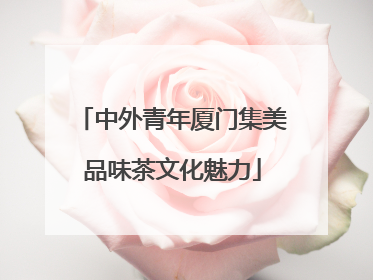 中外青年厦门集美品味茶文化魅力