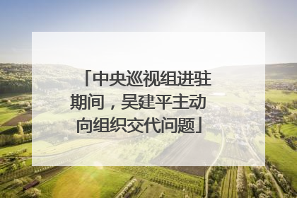 中央巡视组进驻期间，吴建平主动向组织交代问题
