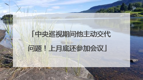 中央巡视期间他主动交代问题！上月底还参加会议