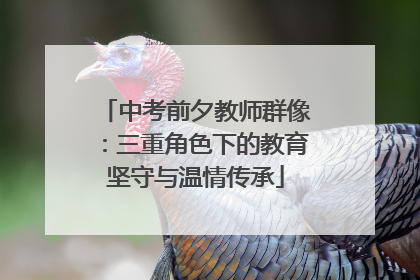 中考前夕教师群像：三重角色下的教育坚守与温情传承