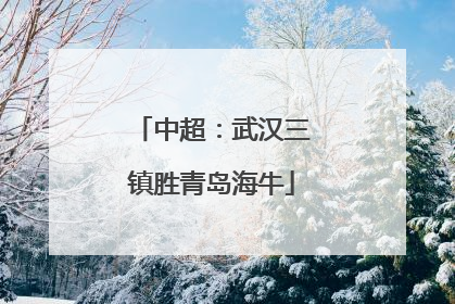 中超：武汉三镇胜青岛海牛