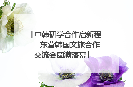 中韩研学合作启新程——东营韩国文旅合作交流会圆满落幕
