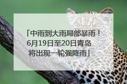 中雨到大雨局部暴雨！6月19日至20日青岛将出现一轮强降雨