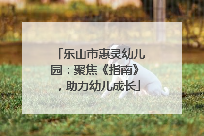 乐山市惠灵幼儿园：聚焦《指南》，助力幼儿成长