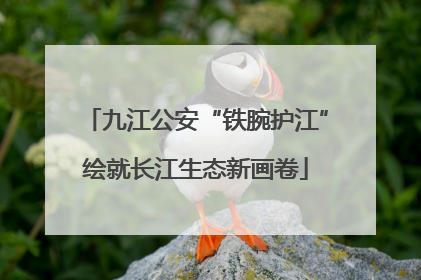 九江公安“铁腕护江”绘就长江生态新画卷
