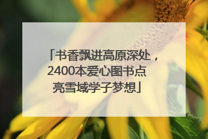 书香飘进高原深处，2400本爱心图书点亮雪域学子梦想