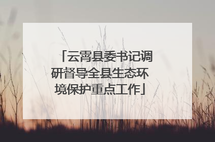 云霄县委书记调研督导全县生态环境保护重点工作