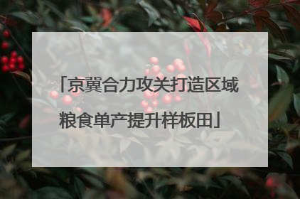京冀合力攻关打造区域粮食单产提升样板田