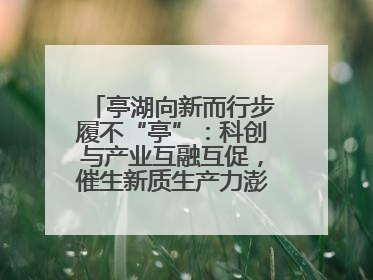 亭湖向新而行步履不“亭”：科创与产业互融互促，催生新质生产力澎湃动能