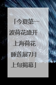 今夏第一波荷花盛开 上海荷花睡莲展7月上旬揭幕