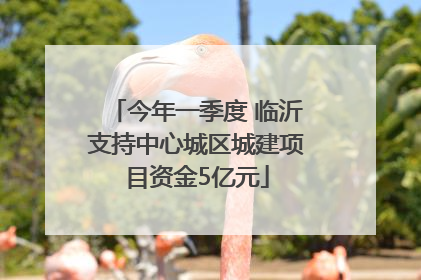 今年一季度 临沂支持中心城区城建项目资金5亿元