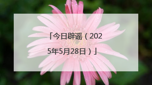 今日辟谣（2025年5月28日）
