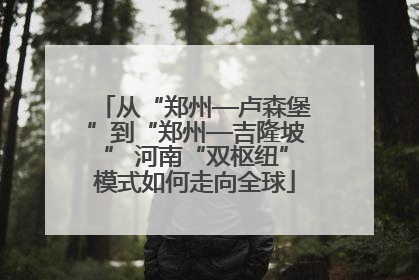 从“郑州—卢森堡”到“郑州—吉隆坡” 河南“双枢纽”模式如何走向全球