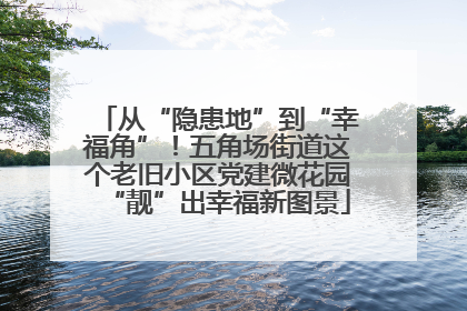 从“隐患地”到“幸福角”！五角场街道这个老旧小区党建微花园“靓”出幸福新图景