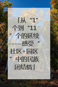 从“1”个到“11”个的延续——感受“社区+园区”中的民族团结情