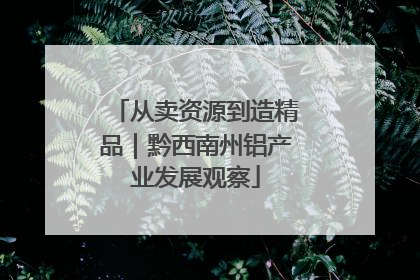 从卖资源到造精品｜黔西南州铝产业发展观察