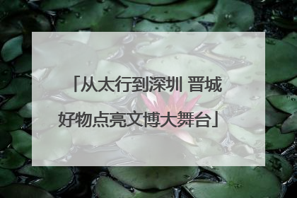 从太行到深圳 晋城好物点亮文博大舞台