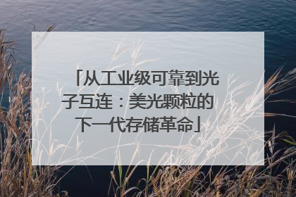 从工业级可靠到光子互连：美光颗粒的下一代存储革命