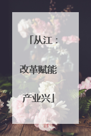 从江：改革赋能产业兴
