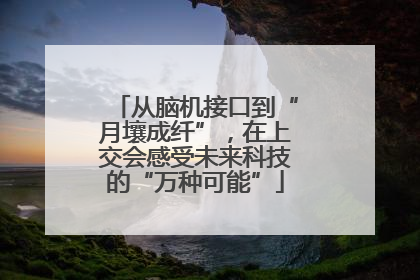 从脑机接口到“月壤成纤”，在上交会感受未来科技的“万种可能”