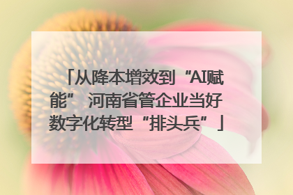 从降本增效到“AI赋能” 河南省管企业当好数字化转型“排头兵”
