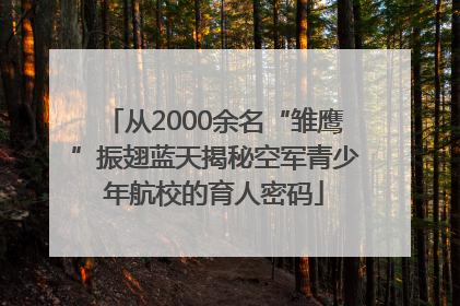 从2000余名“雏鹰”振翅蓝天揭秘空军青少年航校的育人密码