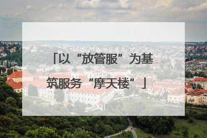 以“放管服”为基筑服务“摩天楼”