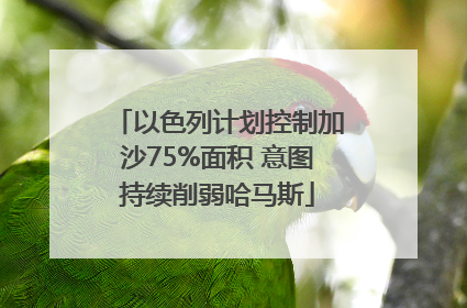 以色列计划控制加沙75%面积 意图持续削弱哈马斯