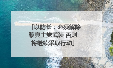 以防长：必须解除黎真主党武装 否则将继续采取行动
