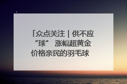 众点关注｜供不应“球” 涨幅超黄金 价格亲民的羽毛球为何身价飞涨？