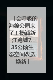 会呼吸的海绵公园来了！杨浦新江湾城7.35公顷生态空间改造焕新