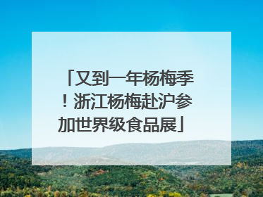 又到一年杨梅季！浙江杨梅赴沪参加世界级食品展
