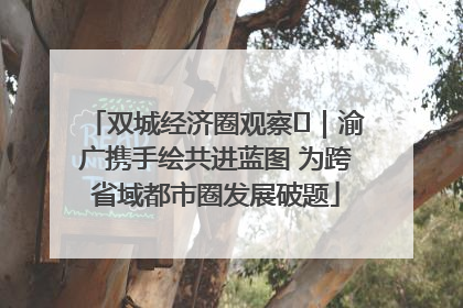 双城经济圈观察㊺｜渝广携手绘共进蓝图 为跨省域都市圈发展破题