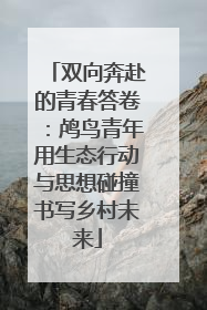 双向奔赴的青春答卷：鸬鸟青年用生态行动与思想碰撞书写乡村未来
