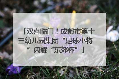 双喜临门！成都市第十三幼儿园集团“足球小将”闪耀“东郊杯”