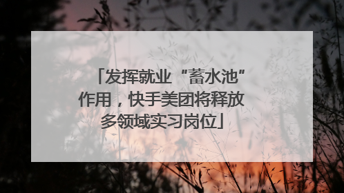 发挥就业“蓄水池”作用，快手美团将释放多领域实习岗位