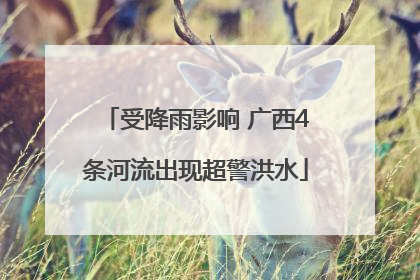 受降雨影响 广西4条河流出现超警洪水